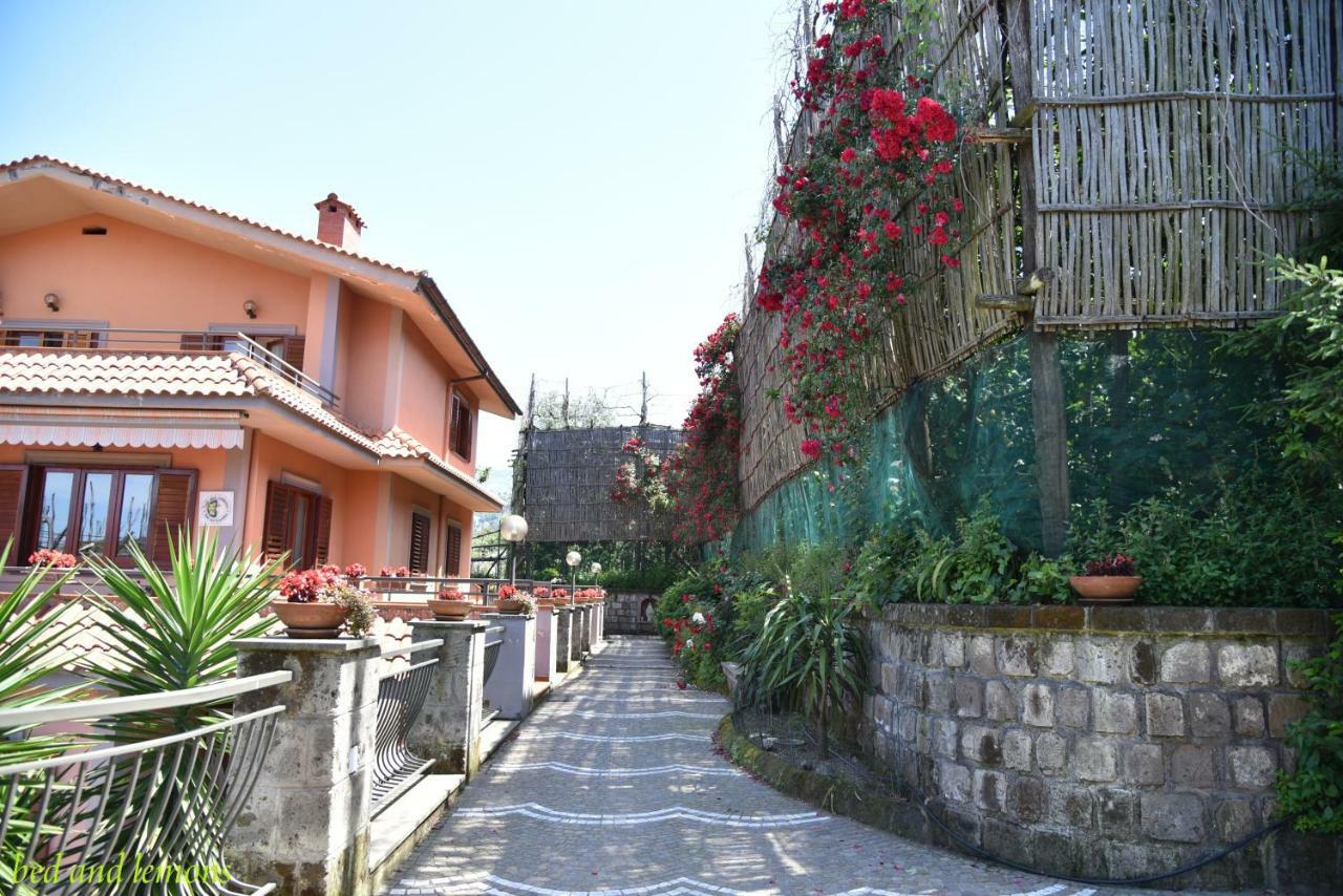 Bed and Breakfast Bed&Lemons à Piano di Sorrento Extérieur photo