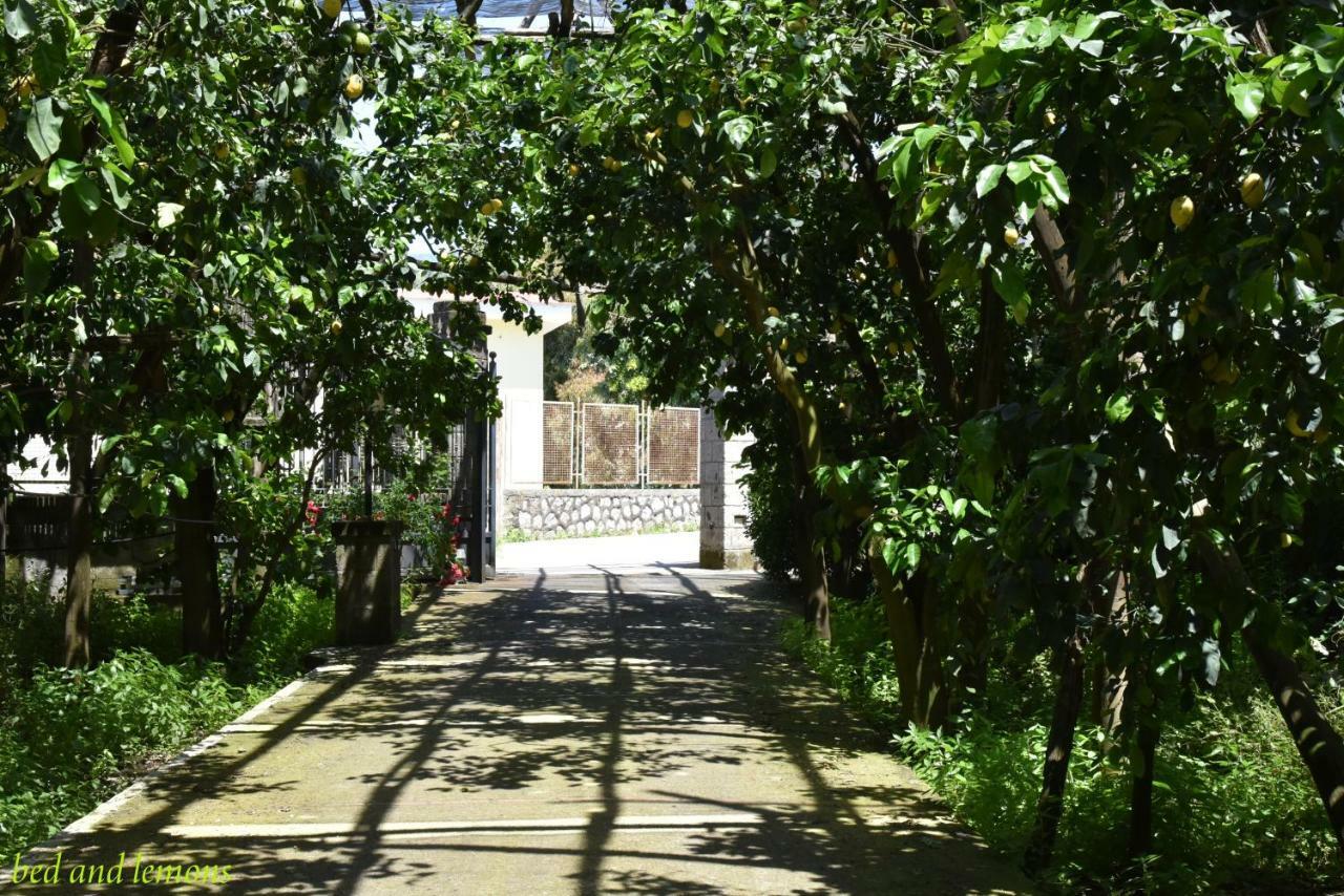 Bed and Breakfast Bed&Lemons à Piano di Sorrento Extérieur photo